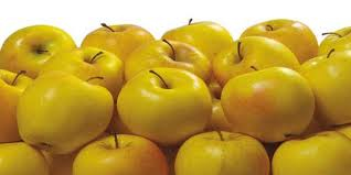 سیب زرد لبنانی با ماندگاری بالا و ممتاز